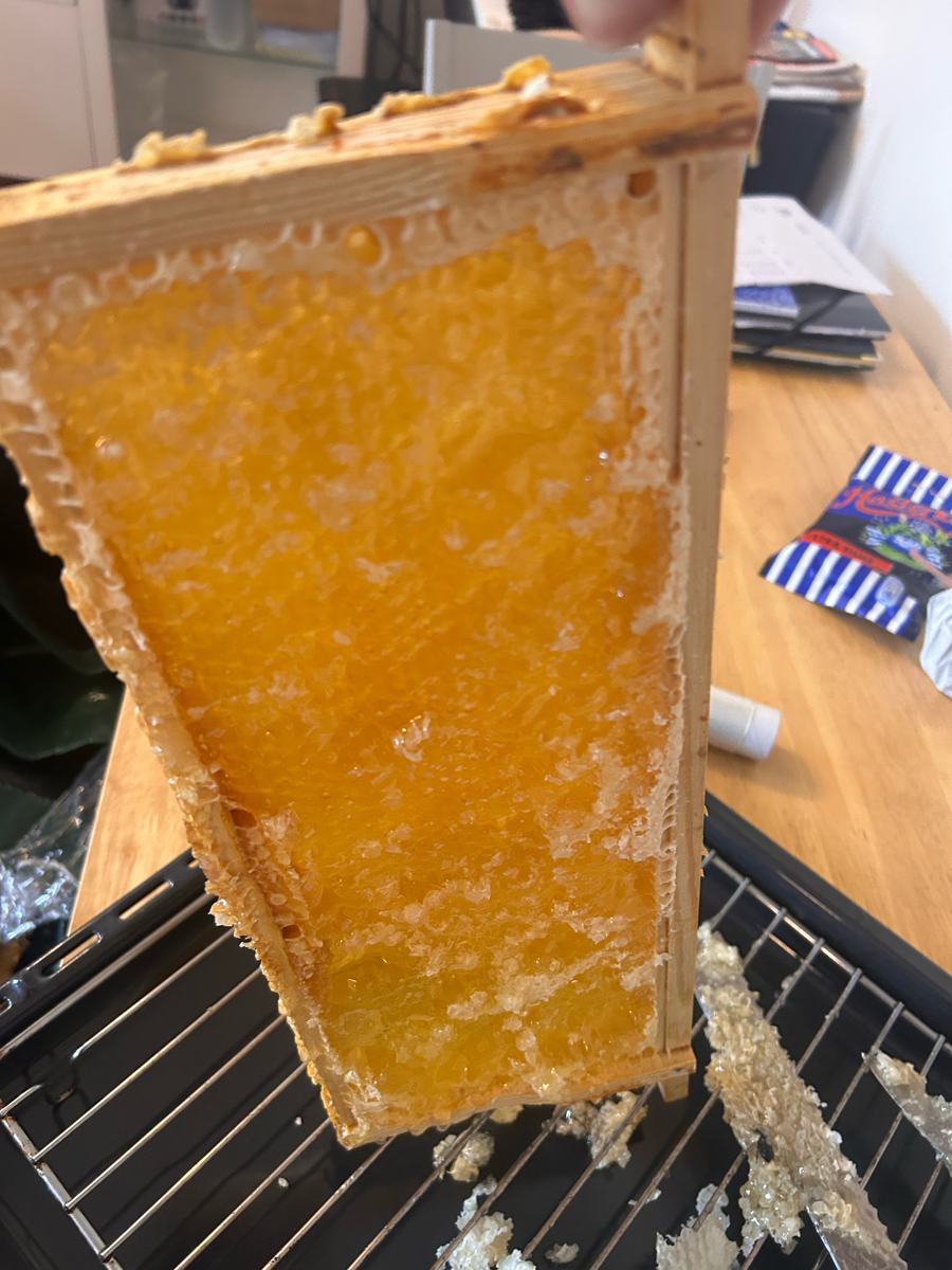 A full frame of capped honeycomb, lifted from the hive